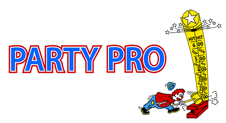 PARTY PRO LLC